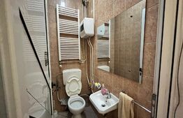 Spațiu comercial cu 2 magazine, birouri și locuință, 363 mp utili, 331 mp teren, Ultracentral Severin 