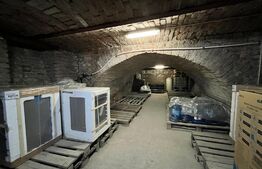 Spațiu comercial cu 2 magazine, birouri și locuință, 363 mp utili, 331 mp teren, Ultracentral Severin 