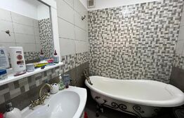 Casă D + P, 3 camere, 2 băi, curte, Brazda lui Novac