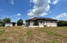 Casă deosebită pe parter, 139 mp utili, 1.000 mp teren, Bariera Vâlcii