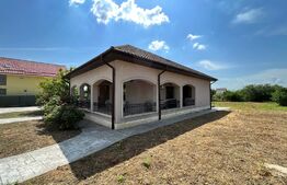 Casă deosebită pe parter, 139 mp utili, 1.000 mp teren, Bariera Vâlcii