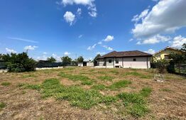 Casă deosebită pe parter, 139 mp utili, 1.000 mp teren, Bariera Vâlcii