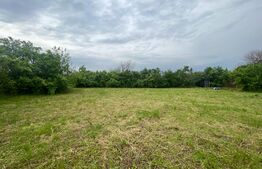 Casa batraneasca cu teren 4345 mp, Murgasi