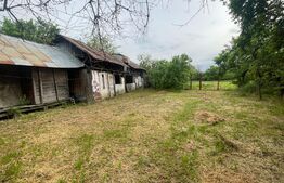 Casa batraneasca cu teren 4345 mp, Murgasi