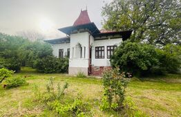 Casa batraneasca cu teren 4345 mp, Murgasi
