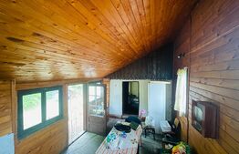 Casa batraneasca cu teren 4345 mp, Murgasi