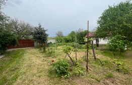 Casa batraneasca cu teren 4345 mp, Murgasi