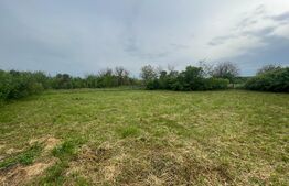Casa batraneasca cu teren 4345 mp, Murgasi