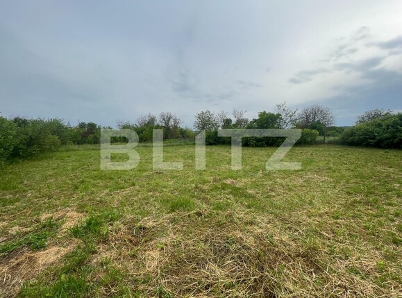 Casa de vânzare 3 camere Exterior  Nord - 117547CV | BLITZ Craiova | Poza8