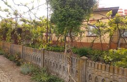 Teren 4777 mp  , Pielești