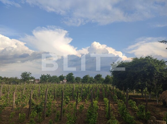 Teren de vânzare Pielești - 117557TV | BLITZ Craiova | Poza9