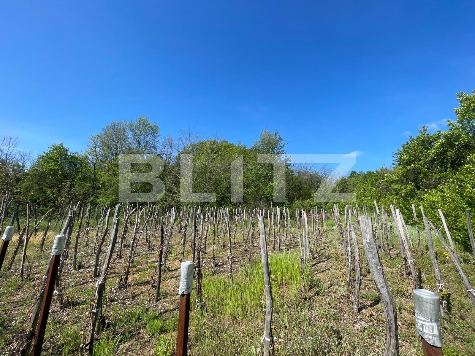 Casa de vânzare 7 camere Exterior  Nord - 117561CV | BLITZ Craiova | Poza17