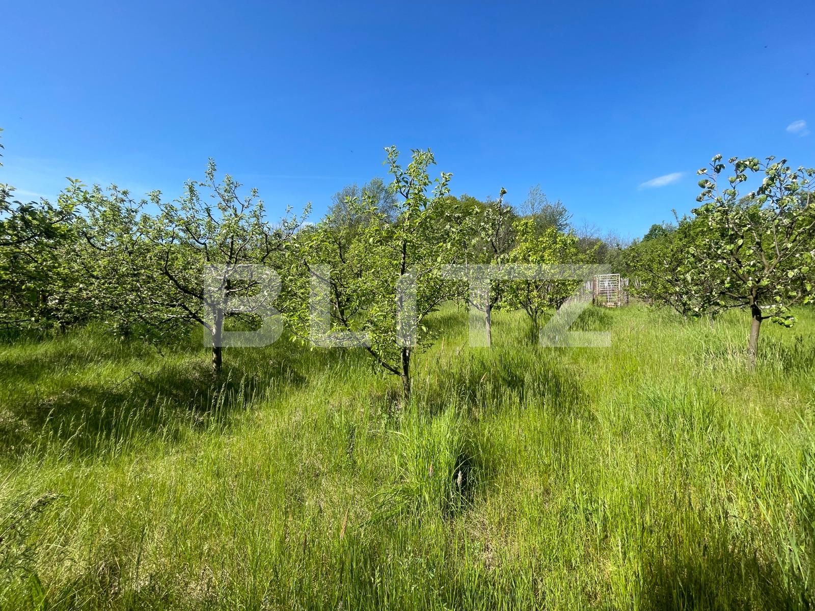 Casa de vânzare 7 camere Exterior  Nord - 117561CV | BLITZ Craiova | Poza18