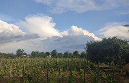 Casă bătrânească cu teren 4777 mp , Pielesti