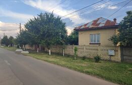 Casă bătrânească cu teren 4777 mp , Pielesti