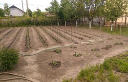 Casă bătrânească cu teren 4777 mp , Pielesti