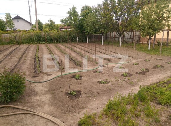 Casa de vânzare 3 camere Pielești - 117562CV | BLITZ Craiova | Poza7