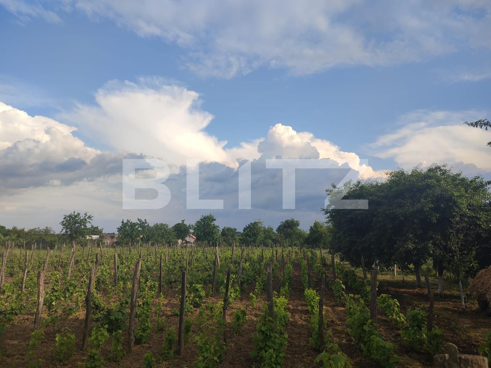 Casa de vânzare 3 camere Pielești - 117562CV | BLITZ Craiova | Poza2