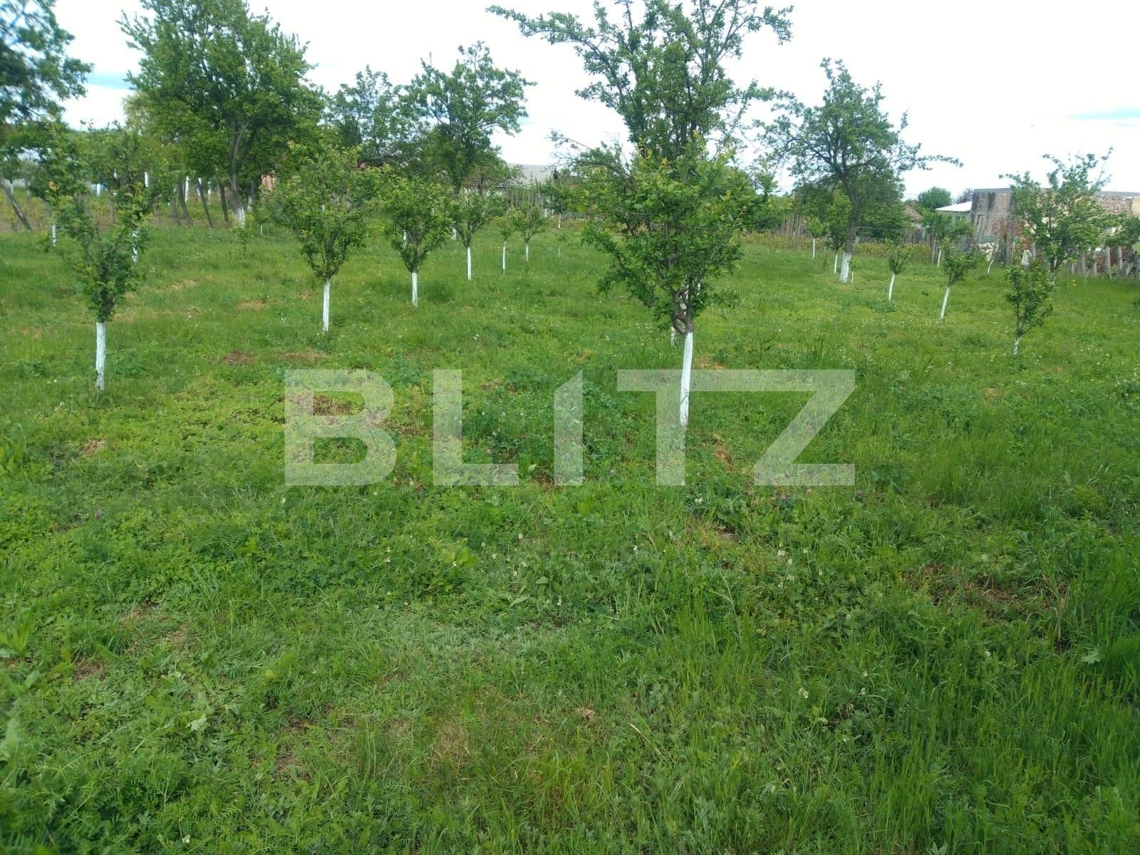 Casa de vânzare 3 camere Pielești - 117562CV | BLITZ Craiova | Poza5