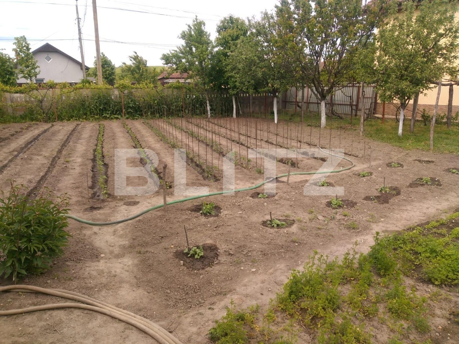 Casa de vânzare 3 camere Pielești - 117562CV | BLITZ Craiova | Poza7