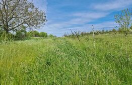 Oferta! Teren intravilan 1170 mp, utilități, la 10 minute de centrul orașului!