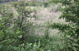 Teren 500 mp ,Leamna de sus 