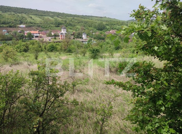 Teren de vânzare Leamna de Sus - 117581TV | BLITZ Craiova | Poza1