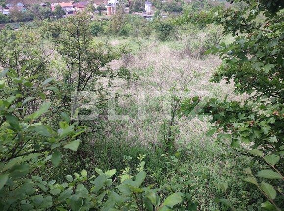 Teren de vânzare Leamna de Sus - 117581TV | BLITZ Craiova | Poza2