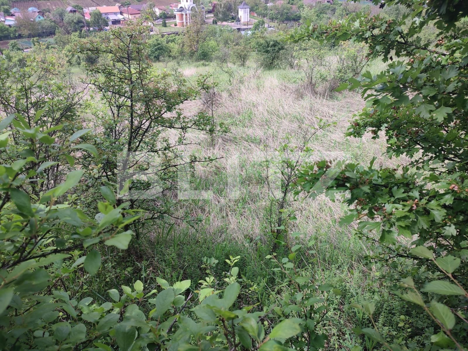 Teren de vânzare Leamna de Sus - 117581TV | BLITZ Craiova | Poza2