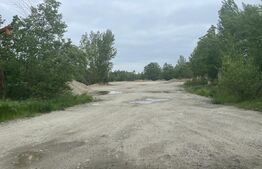 Oportunitate investiție! Teren 6 ha, Craiova, Bulevardu Dacia