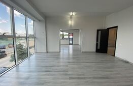 Spațiu birouri, 360 mp, curte și parcare privata, zona Calea Severinului