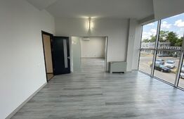 Spațiu birouri, 360 mp, curte și parcare privata, zona Calea Severinului