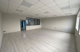 Spațiu birouri, 360 mp, curte și parcare privata, zona Calea Severinului