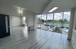 Spațiu birouri, 360 mp, curte și parcare privata, zona Calea Severinului