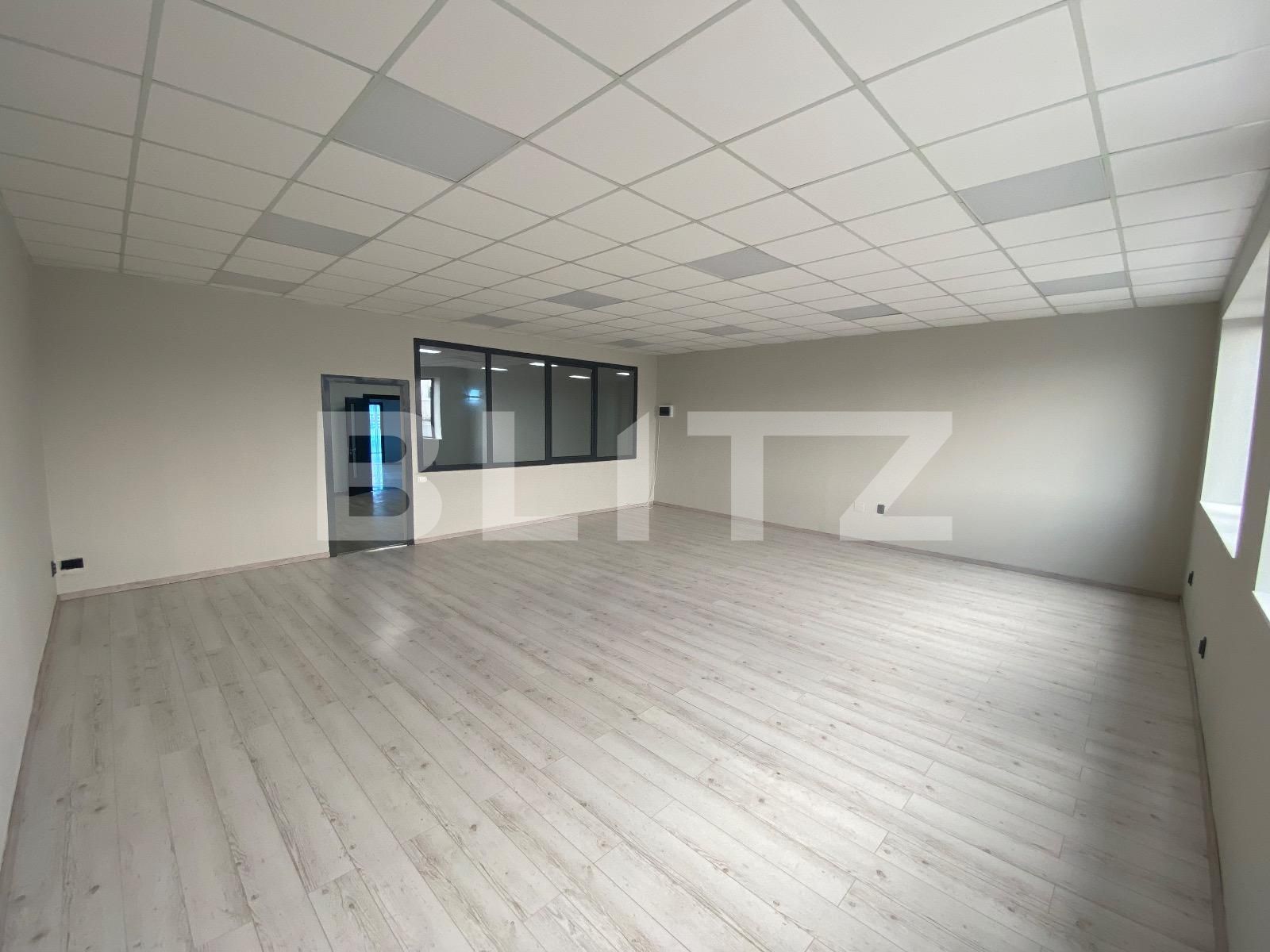 Spațiu birouri de închiriat Calea Severinului - 117617SIB | BLITZ Craiova | Poza6