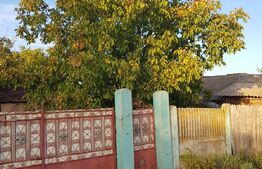 Casă bătrânească, 61 mp utili, curte 1832 mp, Dobromira Dolj