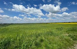 Teren de vanzare, 9500 mp, Zona Centura Nord