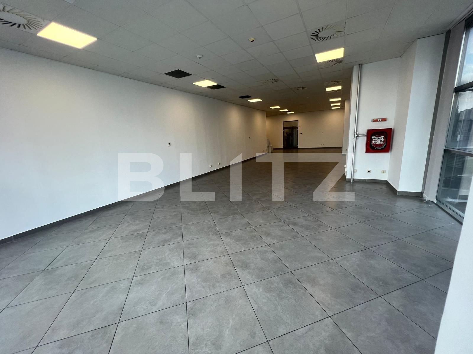 Spațiu birouri de închiriat Ultracentral - 117804SIB | BLITZ Craiova | Poza5