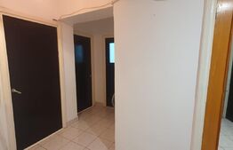Apartament 3 camere,AC, centrala termica, Zona Calea Severinului