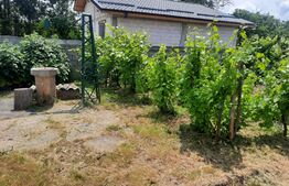 Casă de vanzare, 1.000 mp teren, Filiasi