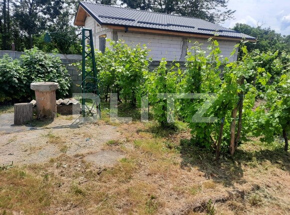 Casa de vânzare 3 camere Filiaşi - 117857CV | BLITZ Craiova | Poza2