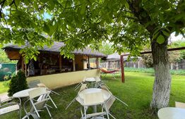 REDUCERE!!! Casă P + M 369 mp utili, teren 1.515 mp, Leamna de Sus