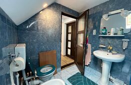 REDUCERE!!! Casă P + M 369 mp utili, teren 1.515 mp, Leamna de Sus