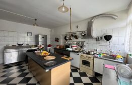 REDUCERE!!! Casă P + M 369 mp utili, teren 1.515 mp, Leamna de Sus