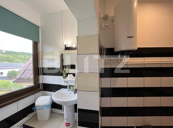 Casa de vânzare 8 camere Leamna de Sus - 117886CV | BLITZ Craiova | Poza11