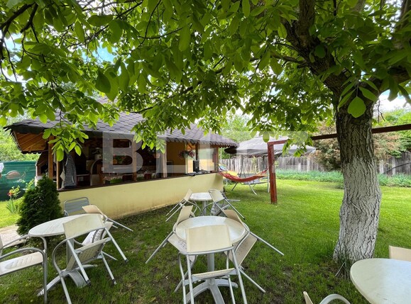 Casa de vânzare 8 camere Leamna de Sus - 117886CV | BLITZ Craiova | Poza16