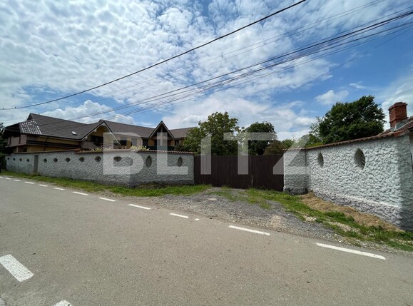 Casa de vânzare 8 camere Leamna de Sus - 117886CV | BLITZ Craiova | Poza19