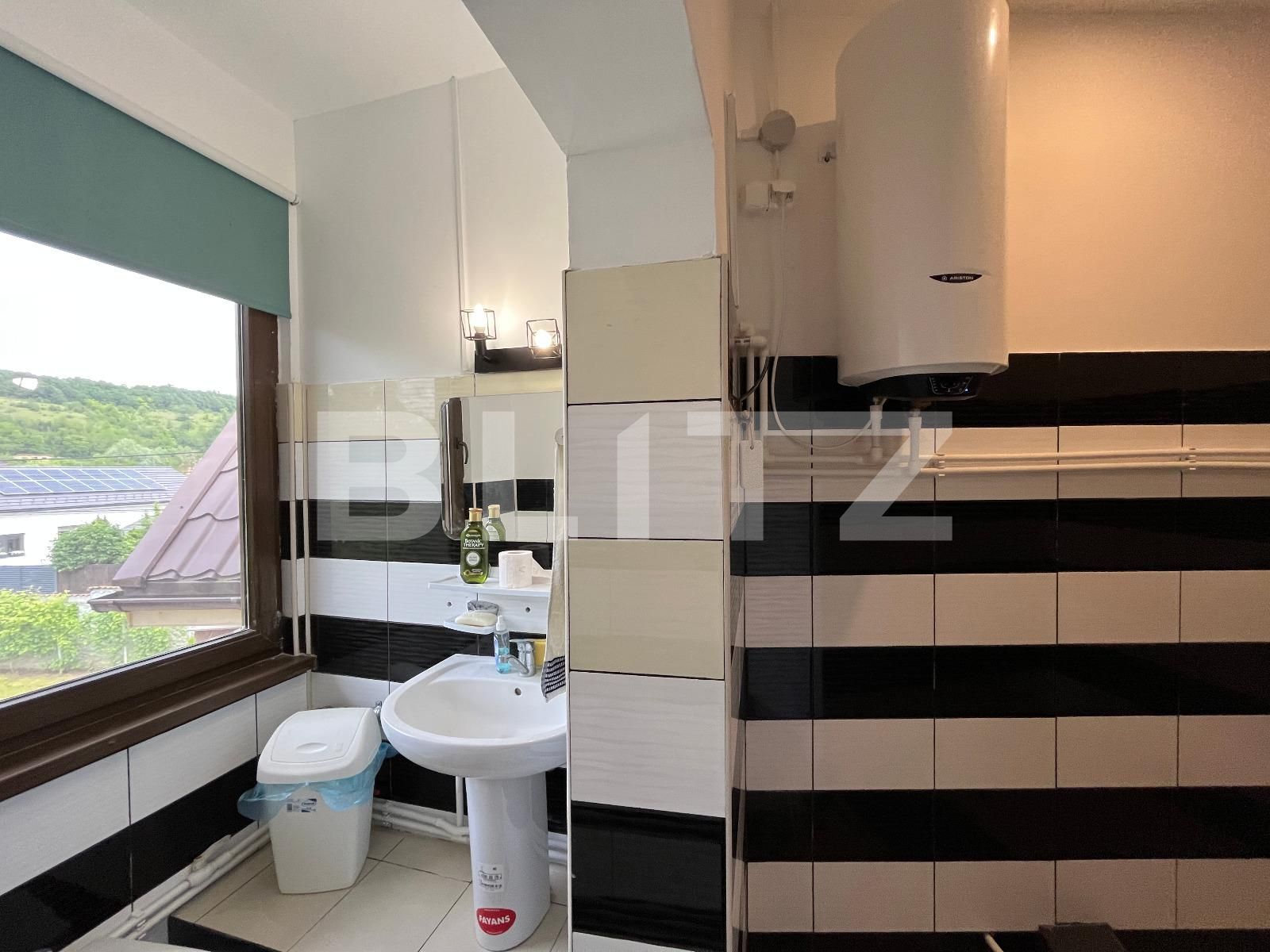 Casa de vânzare 8 camere Leamna de Sus - 117886CV | BLITZ Craiova | Poza11