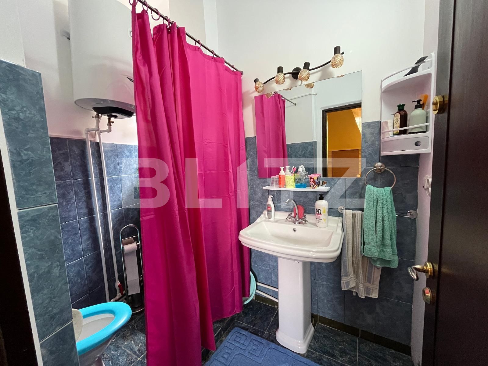 Casa de vânzare 8 camere Leamna de Sus - 117886CV | BLITZ Craiova | Poza13