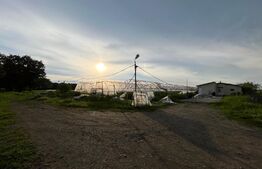 REDUCERE! Teren parțial intravilan 23.500 mp, cu apă, curent și supraveghere video pe toată suprafața, Bucovăț